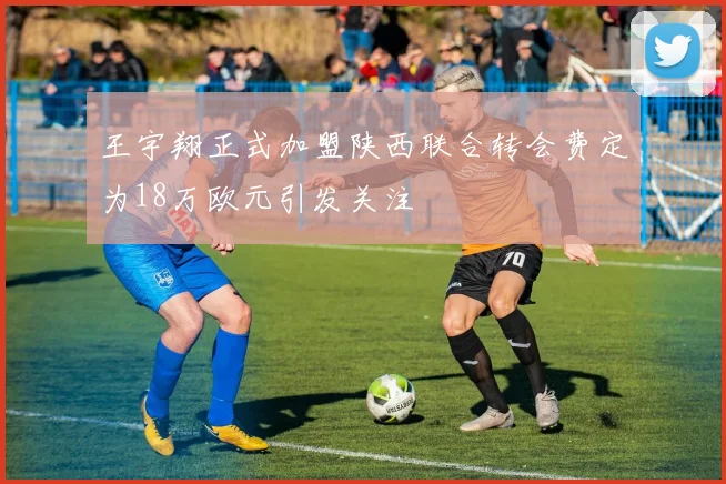 王宇翔正式加盟陕西联合转会费定为18万欧元引发关注