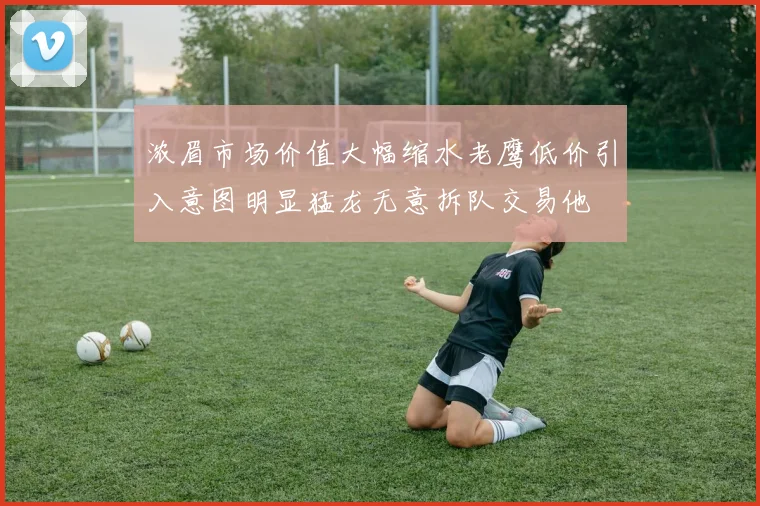 浓眉市场价值大幅缩水老鹰低价引入意图明显猛龙无意拆队交易他