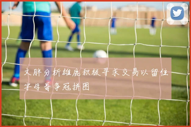 文胖分析雄鹿积极寻求交易以留住字母哥争冠拼图