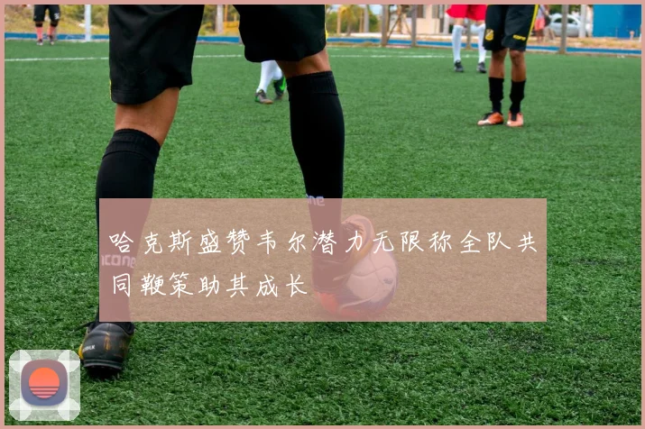 哈克斯盛赞韦尔潜力无限称全队共同鞭策助其成长